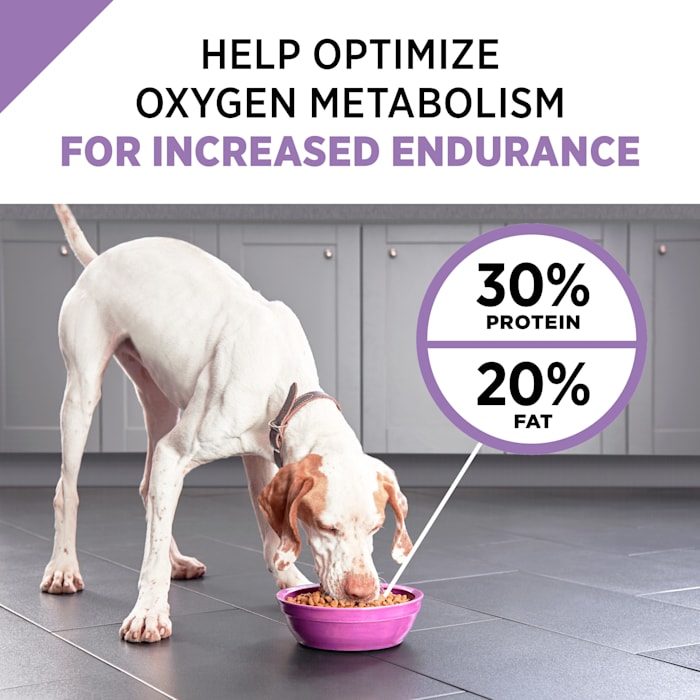 Purina Pro Plan All Ages Performance 30/20 Chicken & Rice Formula Dry Dog Food - Image 9