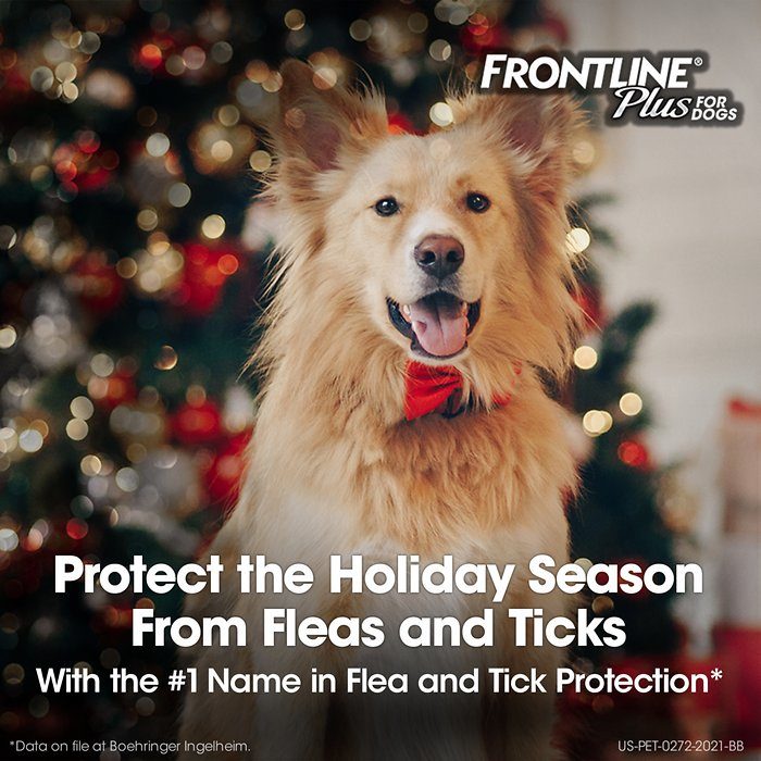 Frontline Plus Flea & Tick Treatment for Extra Large Dogs, 89-132 lbs - Image 2