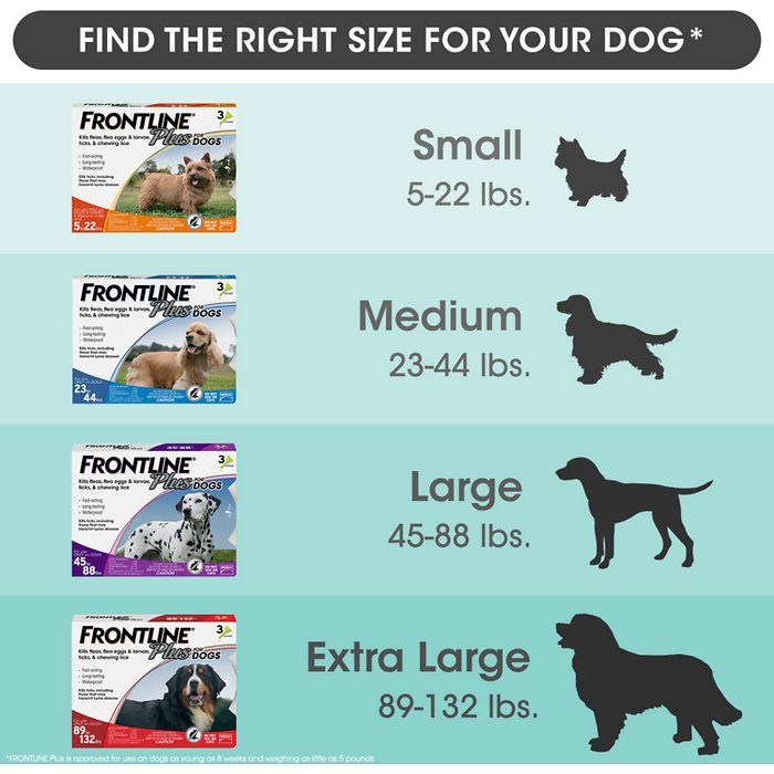 Frontline Plus Flea & Tick Treatment for Extra Large Dogs, 89-132 lbs - Image 8