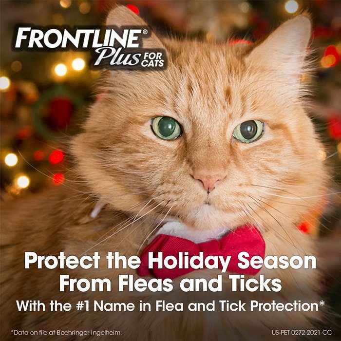 Frontline Plus Flea & Tick Treatment for Cats, over 1.5 lbs - Image 2