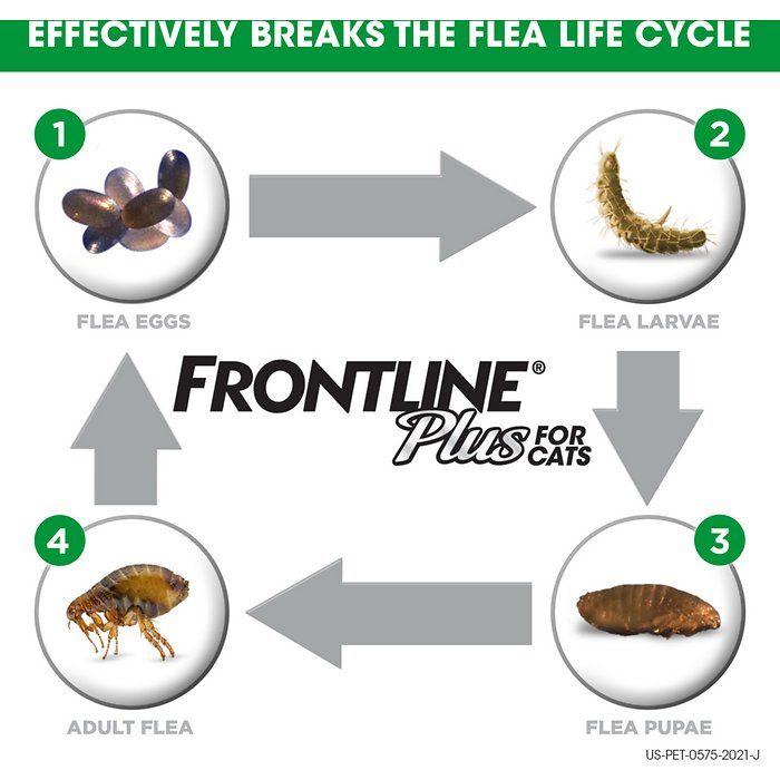 Frontline Plus Flea & Tick Treatment for Cats, over 1.5 lbs - Image 3