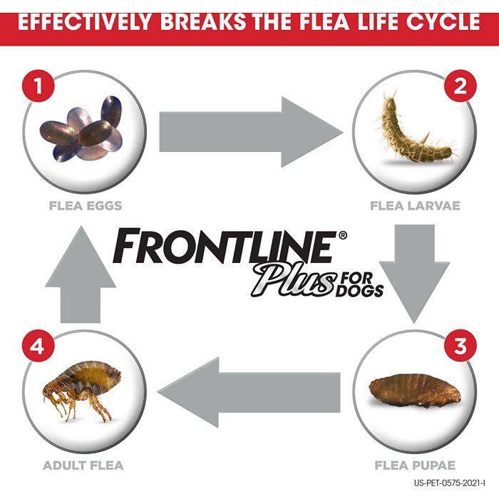 Frontline Plus Flea & Tick Treatment for Extra Large Dogs, 89-132 lbs - Image 3