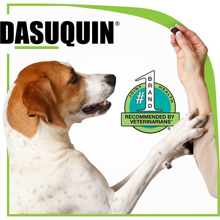 Nutramax Dasuquin Chewable Tablets for Small & Medium Dogs - Image 5