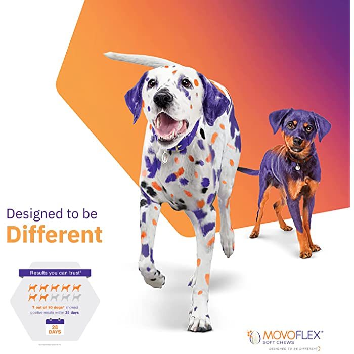 MOVOFLEX Soft Chews Joint Support for Dogs, 60 count - Image 4