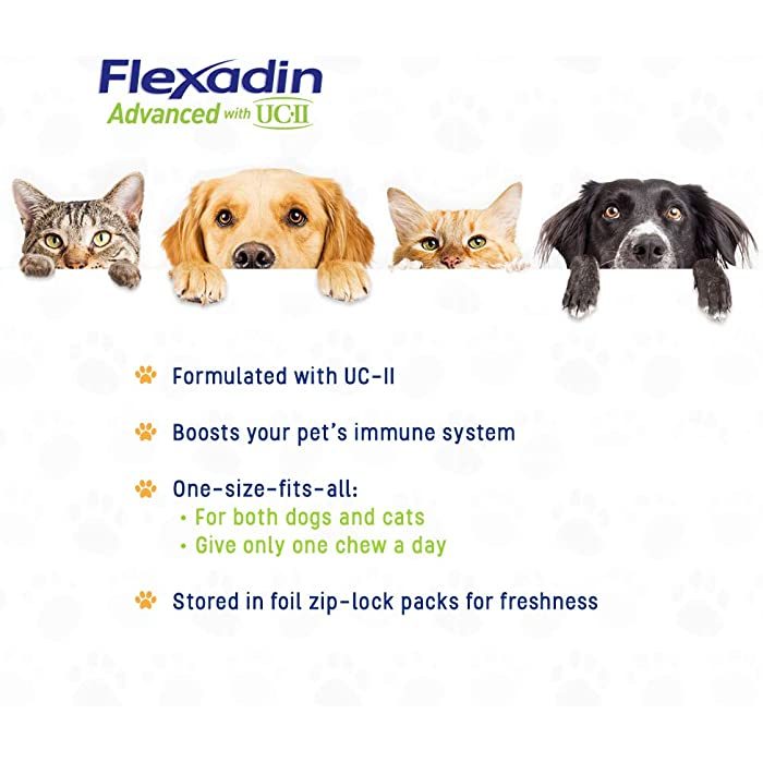 Vetoquinol Flexadin Advanced with UCII for Dogs & Cats - Image 5