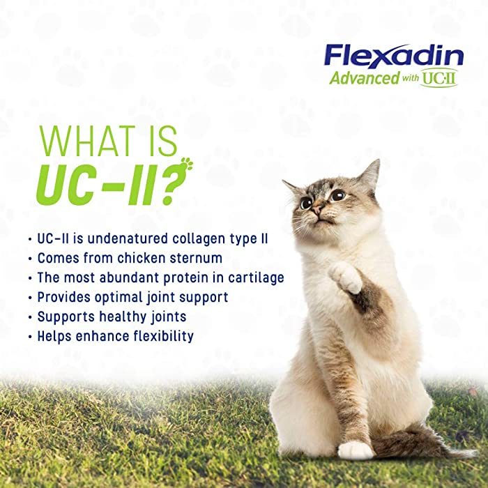 Vetoquinol Flexadin Advanced with UCII for Dogs & Cats - Image 6