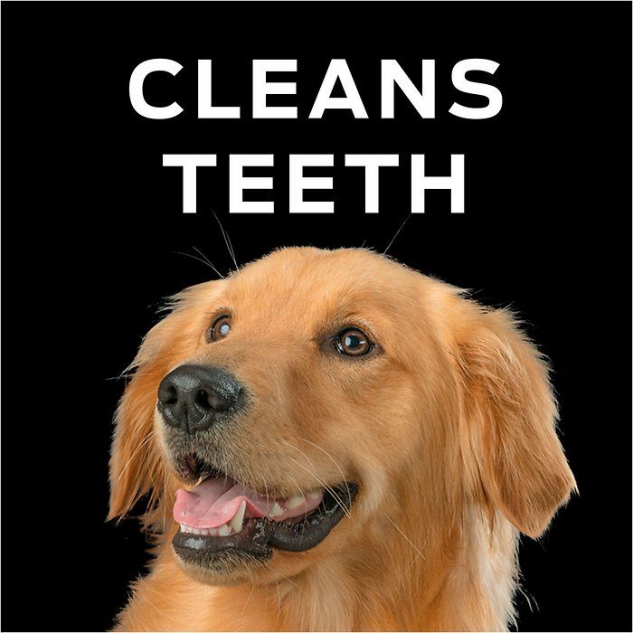 Purina Pro Plan Veterinary Diets Dental Chewz Dog Treats, 5-oz - Image 6