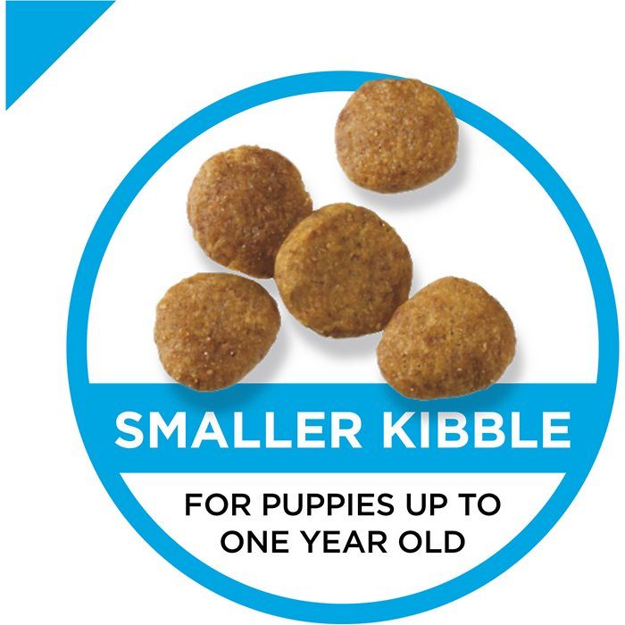 Purina Pro Plan Puppy Chicken & Rice Formula Dry Dog Food - Image 3