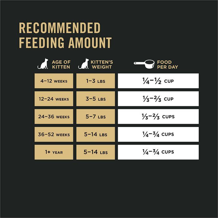 Purina Pro Plan Kitten Chicken & Rice Formula Dry Cat Food - Image 10