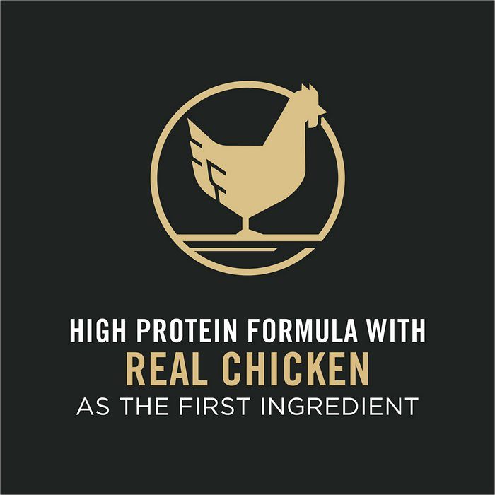 Purina Pro Plan Savor Chicken & Rice Formula Adult Dry Cat Food - Image 5