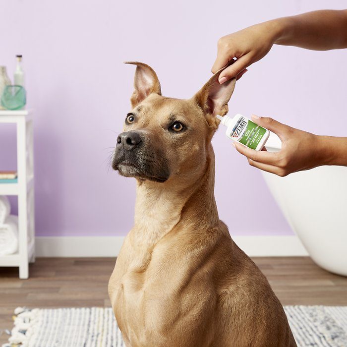 Zymox Otic Enzymatic Solution without Hydrocortisone - Image 2