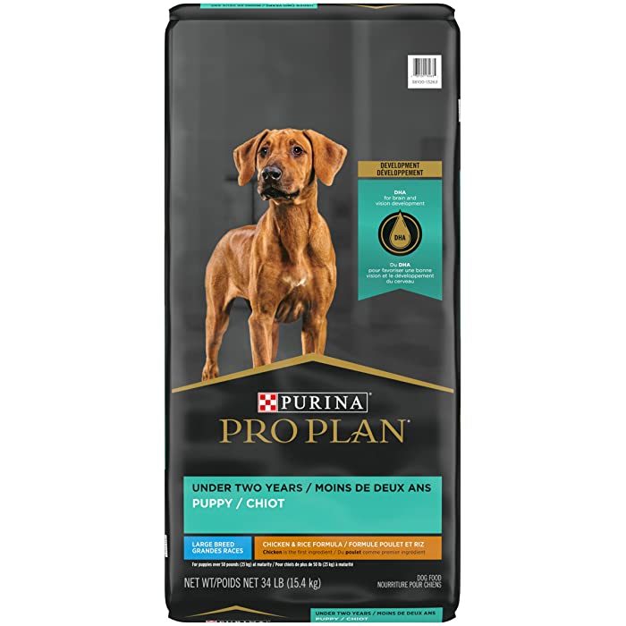 Purina Pro Plan Puppy Large Breed Chicken & Rice Formula Dry Dog Food - Image 1