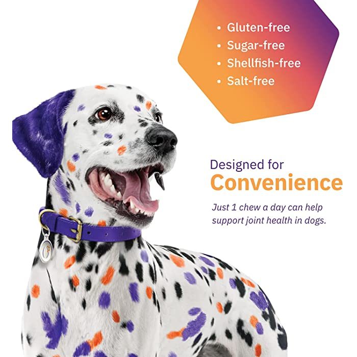 MOVOFLEX Soft Chews Joint Support for Dogs, 60 count - Image 3
