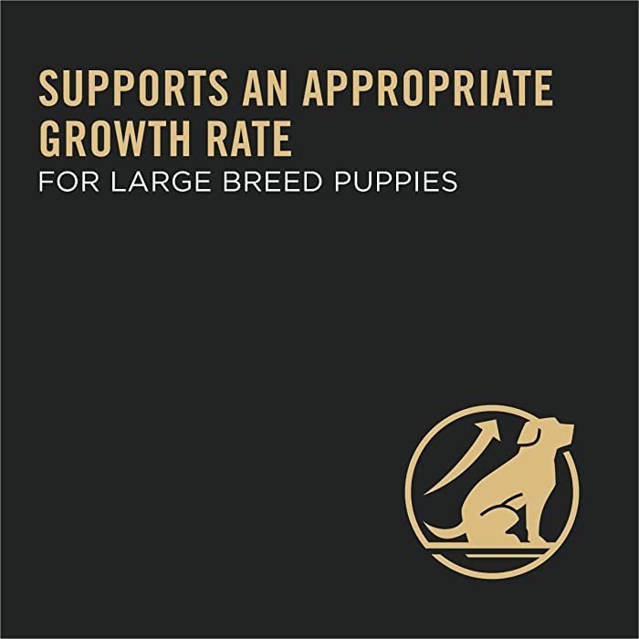Purina Pro Plan Puppy Large Breed Chicken & Rice Formula Dry Dog Food - Image 4