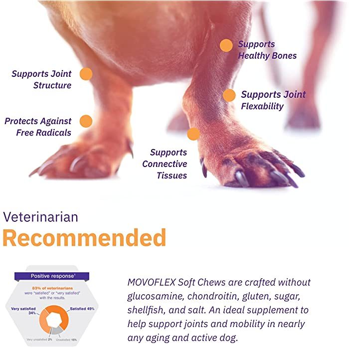MOVOFLEX Soft Chews Joint Support for Dogs, 60 count - Image 6