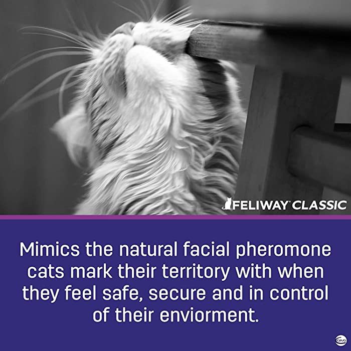 Feliway Classic Travel Calming Spray for Cats, 20 ml - Image 5