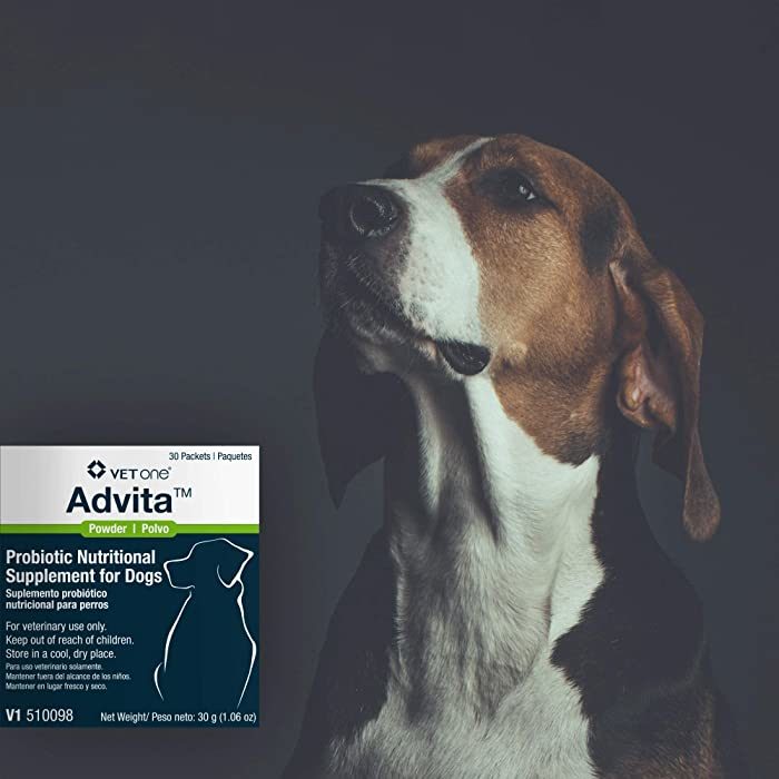 VetOne Advita Probiotic Nutritional Supplement for Dogs, 30 count - Image 3