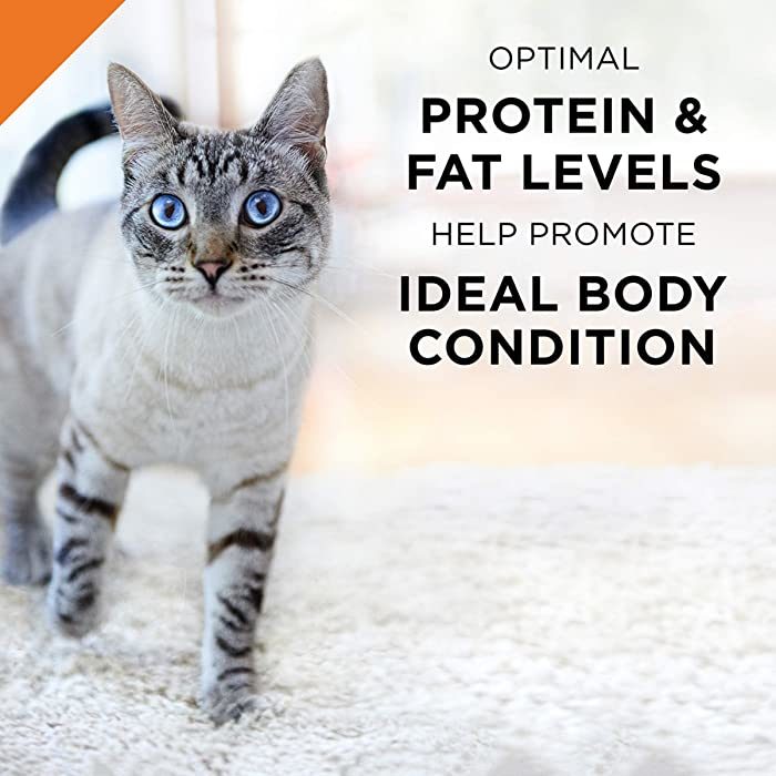 Purina Pro Plan Savor Chicken & Rice Entree in Gravy Adult Wet Cat Food, 3 oz, Case of 24 - Image 9