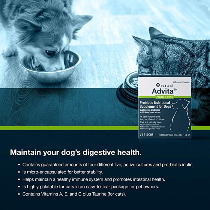 VetOne Advita Probiotic Nutritional Supplement for Dogs, 30 count - Image 4