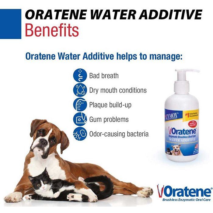 Zymox Oratene Drinking Water Additive for Dogs & Cats, 8-oz - Image 4