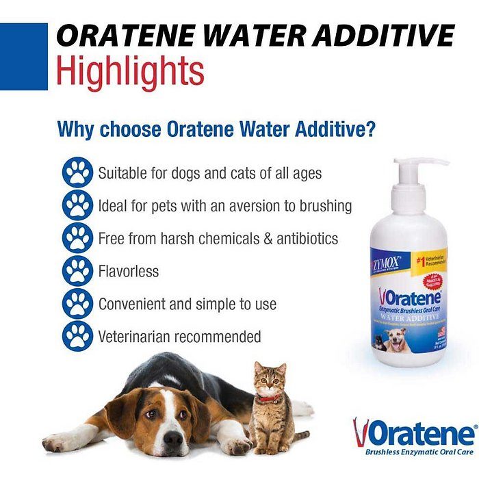 Zymox Oratene Drinking Water Additive for Dogs & Cats, 8-oz - Image 5