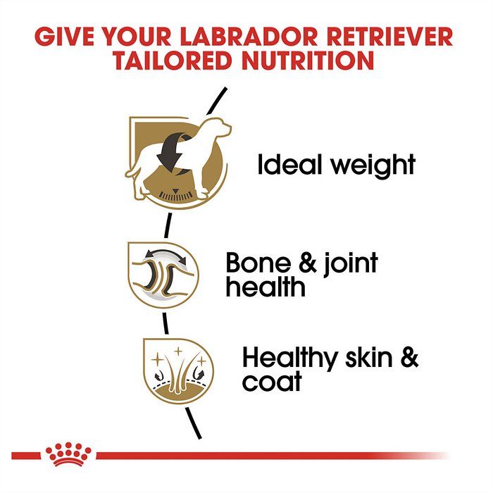 Royal Canin Breed Health Nutrition Labrador Retriever Adult Dry Dog Food - Image 4