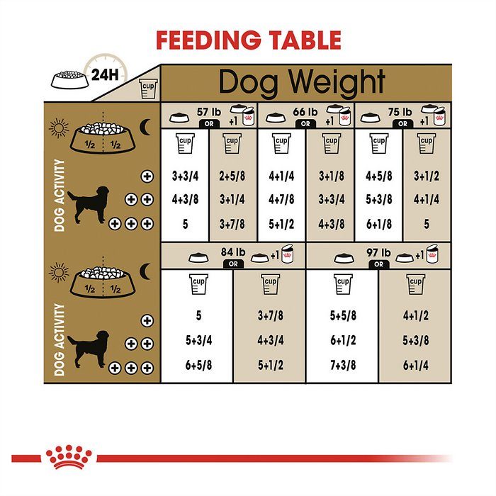 Royal Canin Breed Health Nutrition Labrador Retriever Adult Dry Dog Food - Image 7