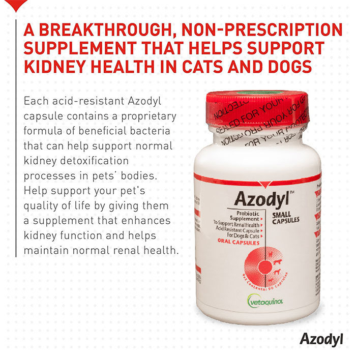 Azodyl Small Capsules for Dogs & Cats - Image 6