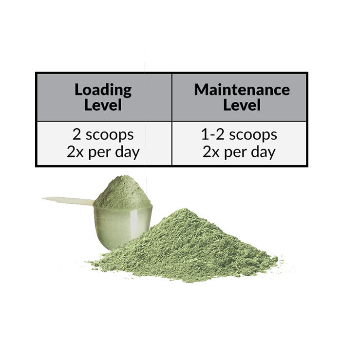 Perfect Prep EQ Training Day Powder for Horses - Image 5