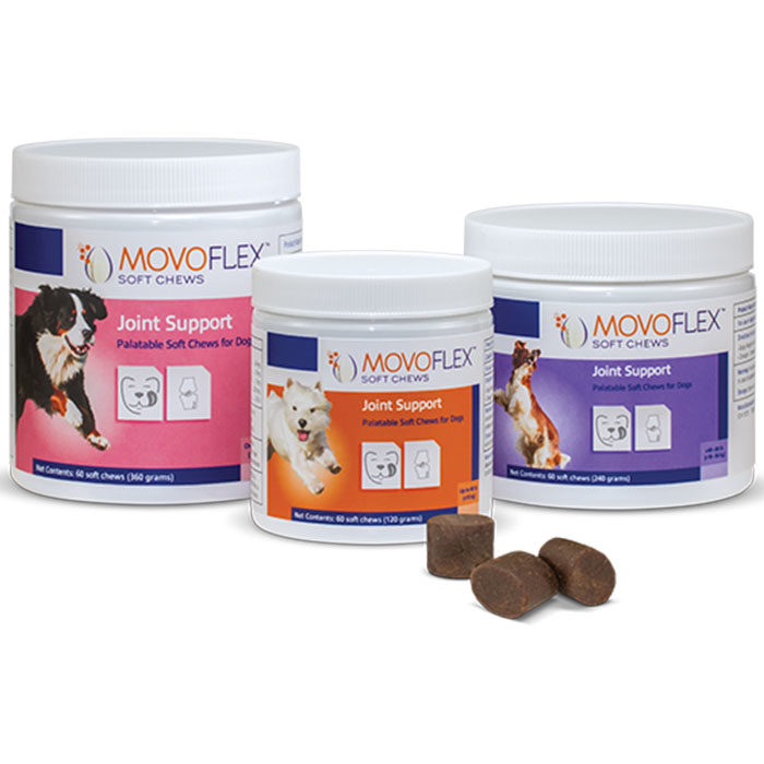 MOVOFLEX Soft Chews Joint Support for Dogs, 60 count - Image 1