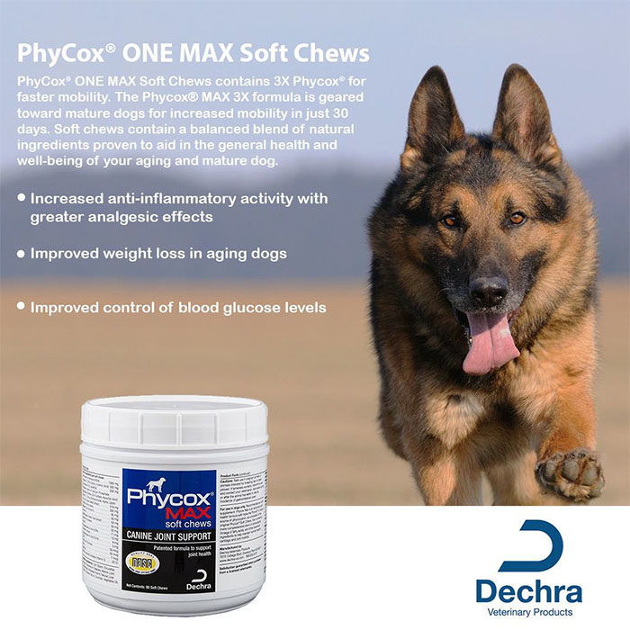 Phycox MAX Soft Chews Joint Supplement for Dogs, 90 count - Image 6
