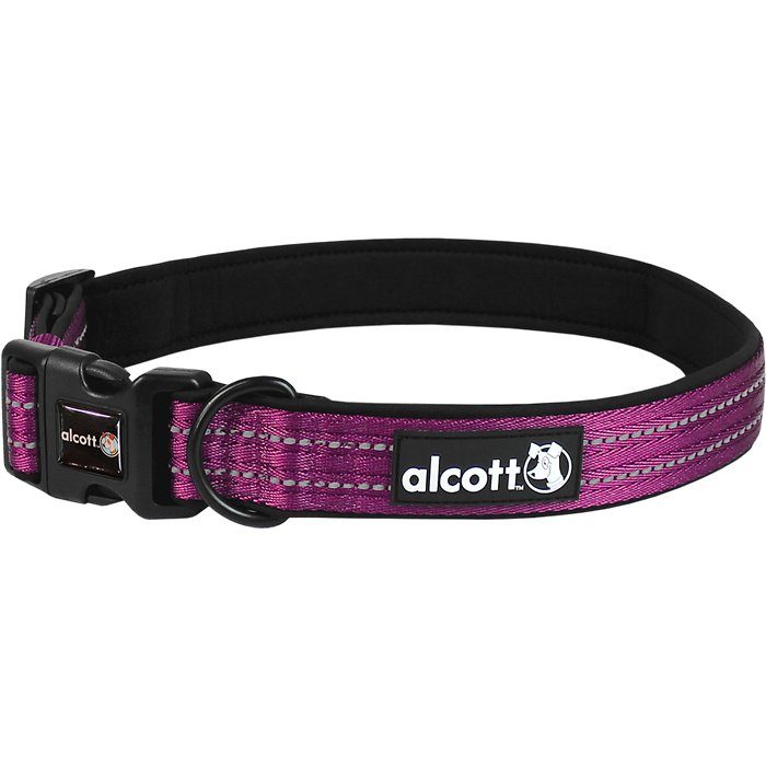 Alcott Adventure Dog Collar, Purple - Image 1