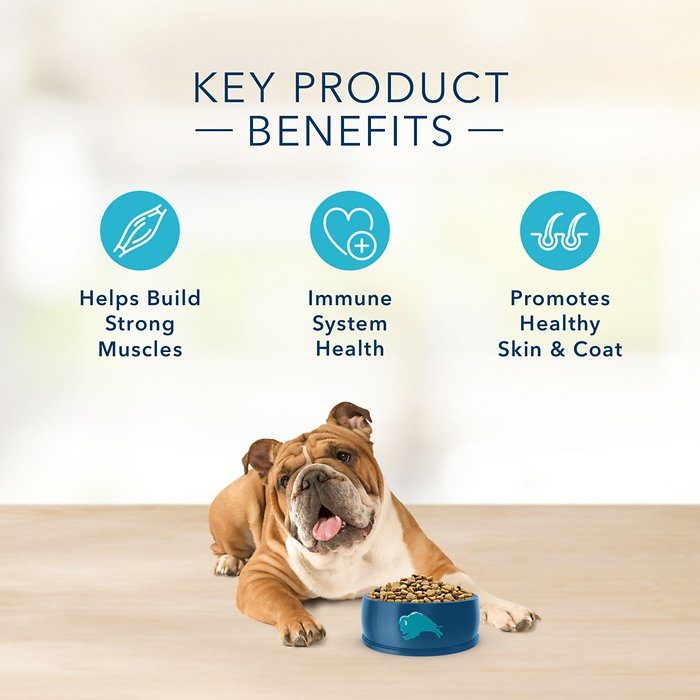 Blue Buffalo Basics Salmon & Potato Recipe Adult Dry Dog Food - Image 6