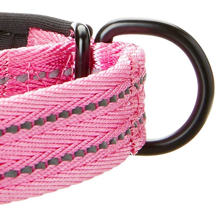 Alcott Martingale Adventure Dog Collar, Pink - Image 4