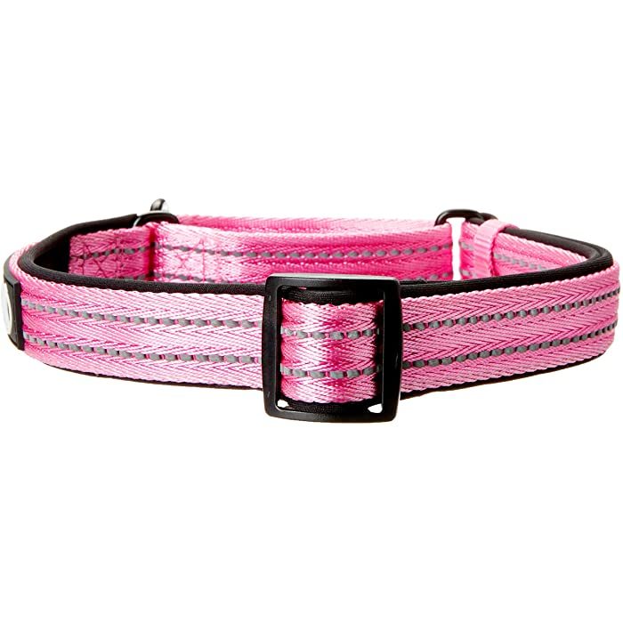 Alcott Martingale Adventure Dog Collar, Pink - Image 3