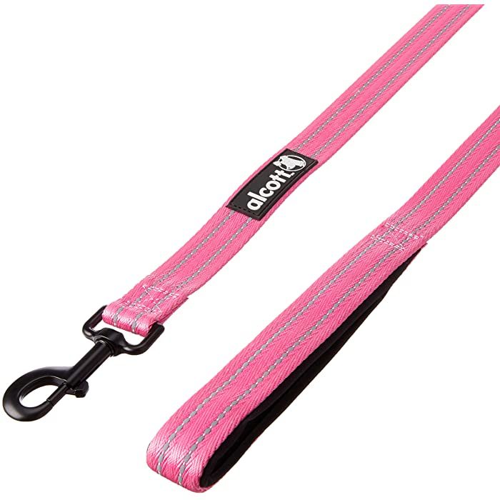 Alcott Adventure Dog Leash, Pink - Image 2