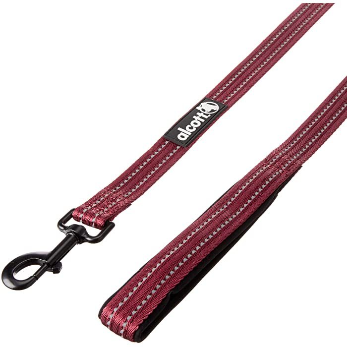 Alcott Adventure Dog Leash, Red - Image 2