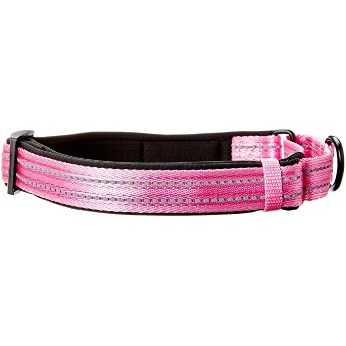 Alcott Martingale Adventure Dog Collar, Pink - Image 2