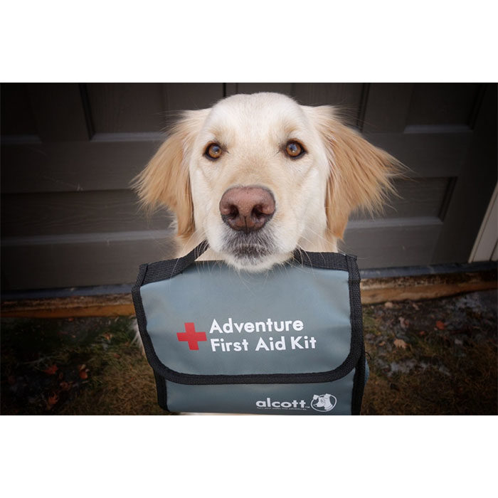 Alcott Adventure First Aid Kit for Dogs and Humans - Image 3