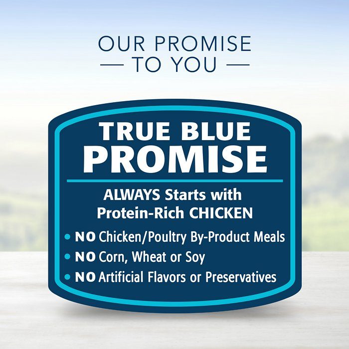 Blue Buffalo Life Protection Formula Chicken & Brown Rice Recipe Adult Dry Dog Food - Image 7