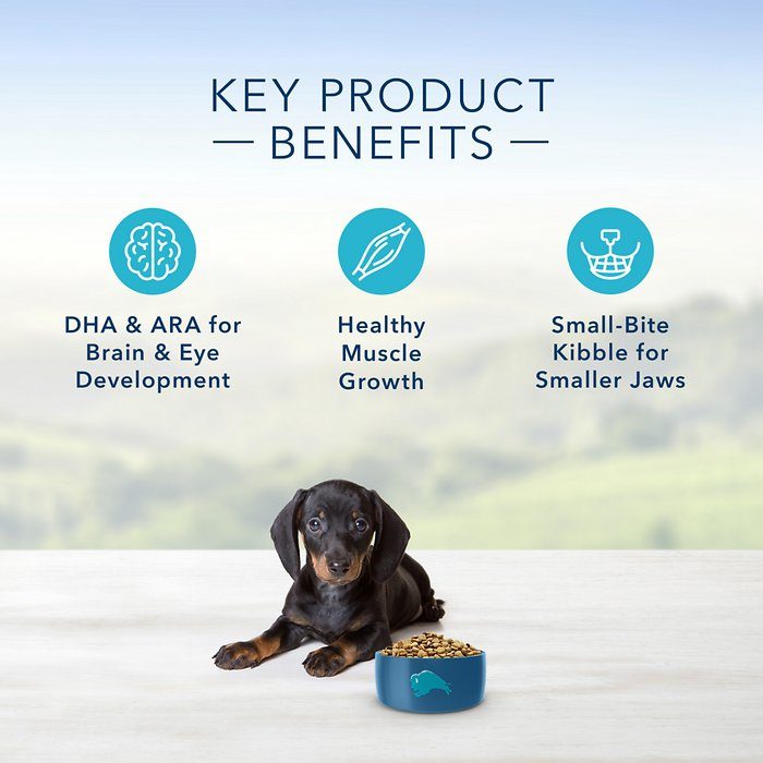 Blue Buffalo Life Protection Formula Chicken & Oatmeal Recipe Small Breed Puppy Dry Dog Food - Image 4