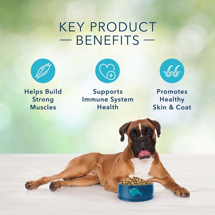 Blue Buffalo Freedom Grain-Free Beef Recipe Adult Dry Dog Food - Image 5