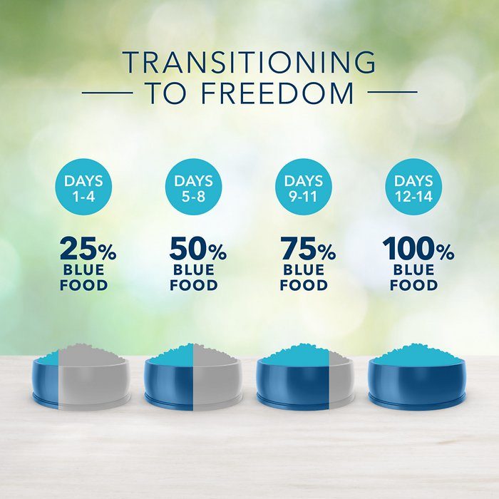 Blue Buffalo Freedom Grain-Free Beef Recipe Adult Dry Dog Food - Image 6