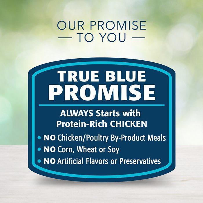Blue Buffalo Freedom Grain-Free Beef Recipe Adult Dry Dog Food - Image 7