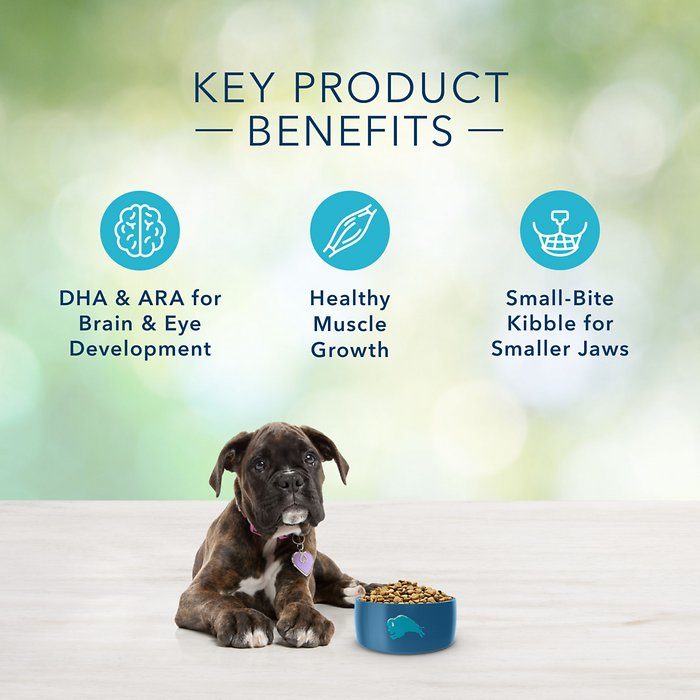 Blue Buffalo Freedom Grain-Free Puppy Chicken Recipe Dry Dog Food - Image 5