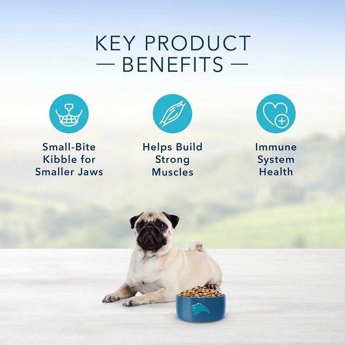 Blue Buffalo Life Protection Formula Chicken & Brown Rice Recipe Small Bite Adult Dry Dog Food - Image 4