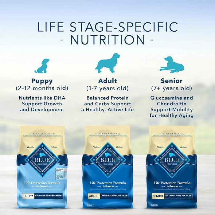 Blue Buffalo Life Protection Formula Chicken & Brown Rice Recipe Small Bite Adult Dry Dog Food - Image 8