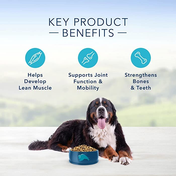 Blue Buffalo Life Protection Formula Chicken & Brown Rice Recipe Large Breed Adult Dry Dog Food - Image 5