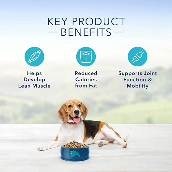Blue Buffalo Life Protection Formula Healthy Weight Chicken & Brown Rice Recipe Adult Dry Dog Food - Image 4