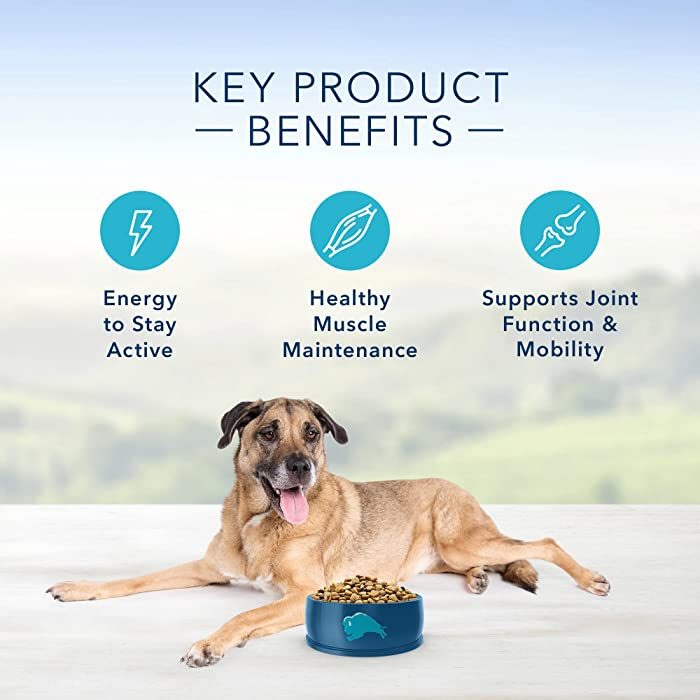 Blue Buffalo Life Protection Formula Chicken & Brown Rice Recipe Senior Dry Dog Food - Image 6